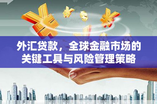 吉木萨尔外汇贷款，全球金融市场的关键工具与风险管理策略