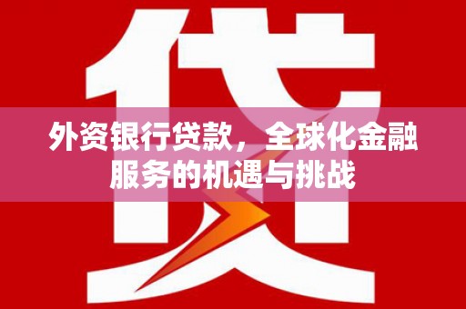 吉木萨尔外资银行贷款，全球化金融服务的机遇与挑战