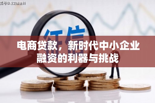 吉木萨尔电商贷款，新时代中小企业融资的利器与挑战
