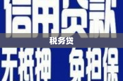 吉木萨尔税务贷