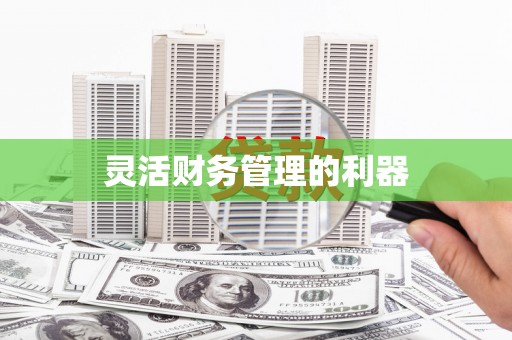 吉木萨尔灵活财务管理的利器