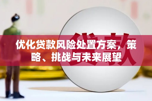 吉木萨尔优化贷款风险处置方案，策略、挑战与未来展望