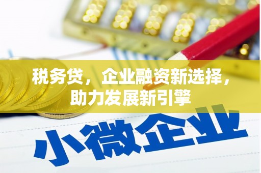 吉木萨尔税务贷，企业融资新选择，助力发展新引擎