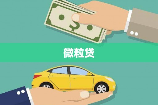 吉木萨尔微粒贷