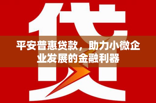 吉木萨尔平安普惠贷款，助力小微企业发展的金融利器