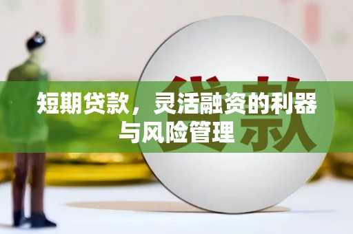 吉木萨尔短期贷款，灵活融资的利器与风险管理