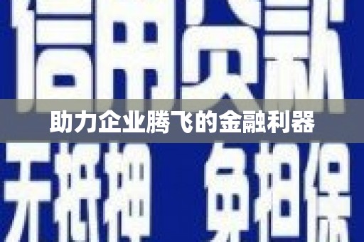 吉木萨尔助力企业腾飞的金融利器