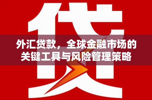 吉木萨尔外汇贷款，全球金融市场的关键工具与风险管理策略