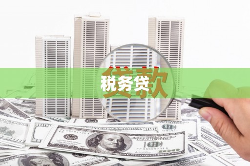吉木萨尔税务贷