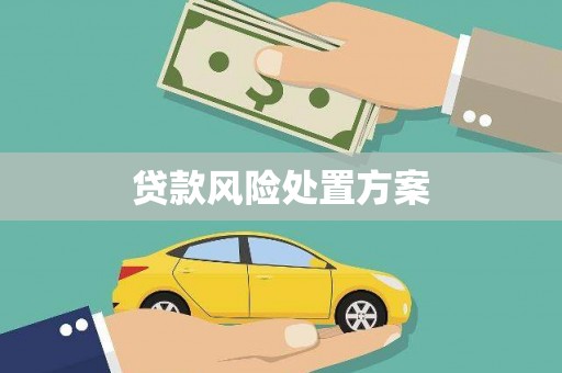 吉木萨尔贷款风险处置方案