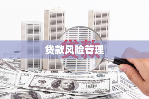 吉木萨尔贷款风险管理