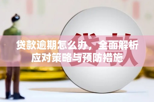 吉木萨尔贷款逾期怎么办，全面解析应对策略与预防措施