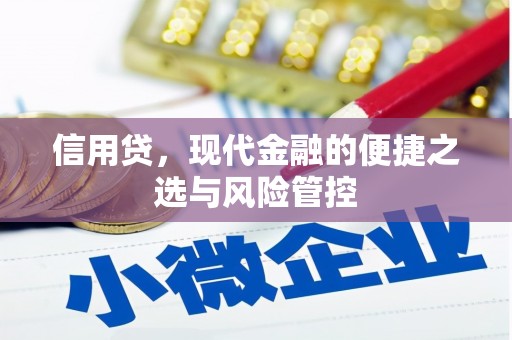 吉木萨尔信用贷，现代金融的便捷之选与风险管控