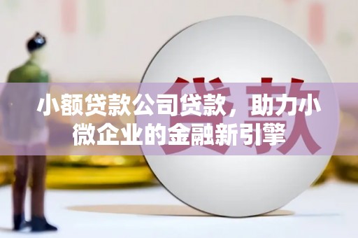 吉木萨尔小额贷款公司贷款，助力小微企业的金融新引擎
