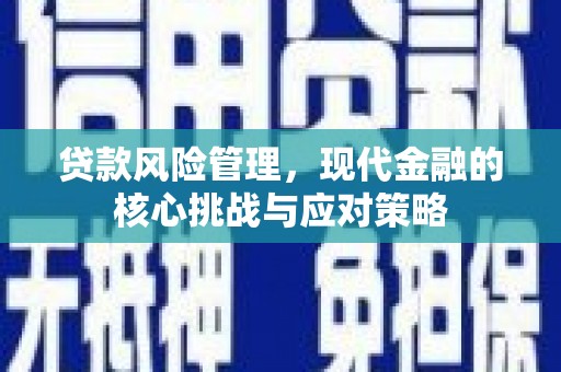 吉木萨尔贷款风险管理，现代金融的核心挑战与应对策略