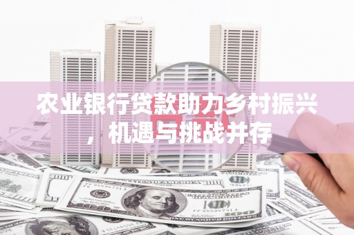 吉木萨尔农业银行贷款助力乡村振兴，机遇与挑战并存