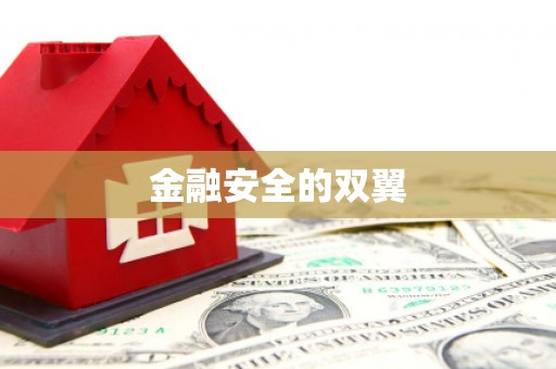 吉木萨尔金融安全的双翼