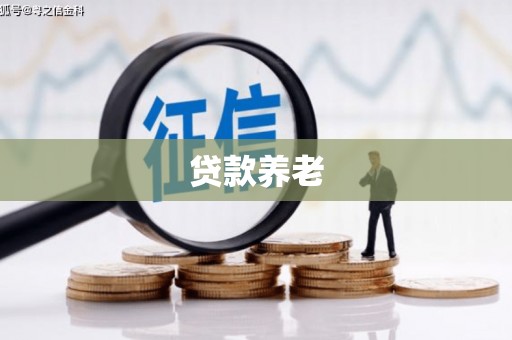 吉木萨尔贷款养老