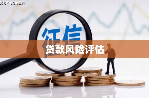 吉木萨尔贷款风险评估