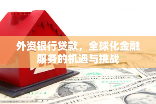 吉木萨尔外资银行贷款，全球化金融服务的机遇与挑战