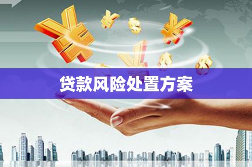吉木萨尔贷款风险处置方案