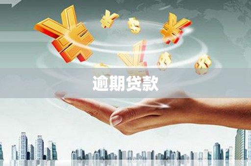 吉木萨尔逾期贷款