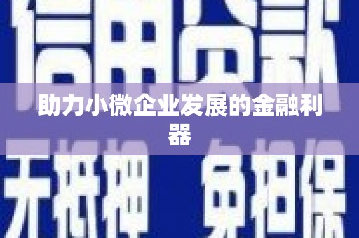 吉木萨尔助力小微企业发展的金融利器