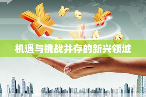 吉木萨尔机遇与挑战并存的新兴领域