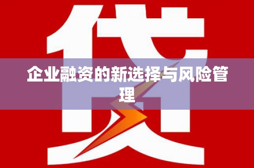 吉木萨尔企业融资的新选择与风险管理