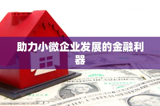 吉木萨尔助力小微企业发展的金融利器