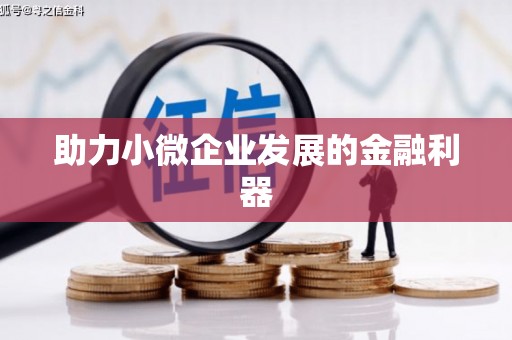 吉木萨尔助力小微企业发展的金融利器