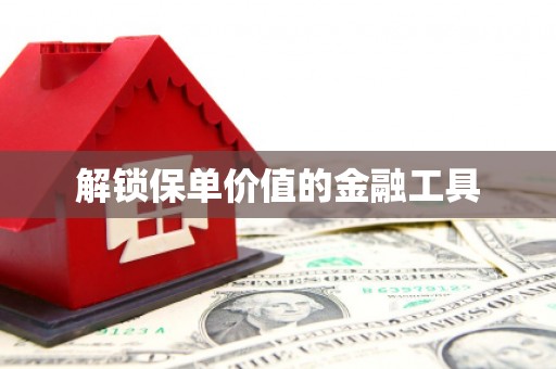 吉木萨尔解锁保单价值的金融工具