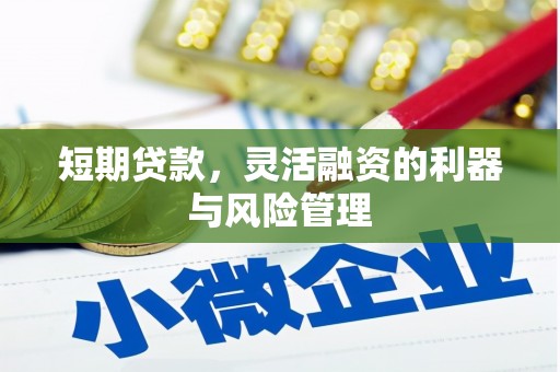 吉木萨尔短期贷款，灵活融资的利器与风险管理