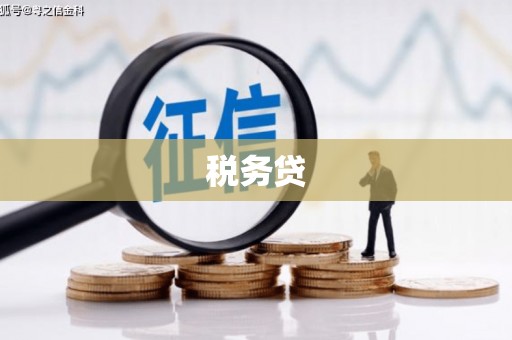 吉木萨尔税务贷